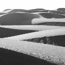 06 FTL Assmus, Hans, Muster der Natur